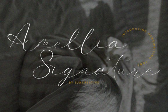 Amellia Signature: A Script Font That Makes Your Brand Feel Thoughtful