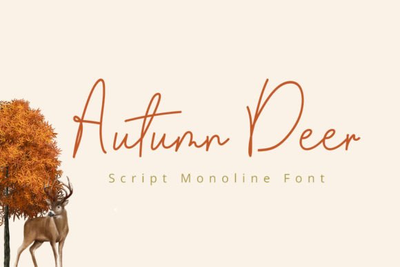 Autumn Deer: A Delicate Script Typeface for Digital Branding