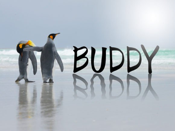 Buddy: A Handwritten Font That Feels Like a Trusted Teammate