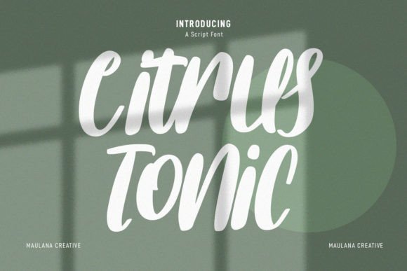 Citrus Tonic: A Bold, Refreshing Script Font for Real Small Business Branding