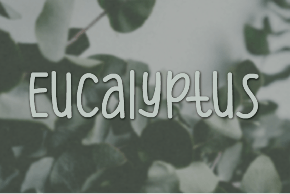 Eucalyptus: A Natural Handwritten Font for Scroll-Stopping Campaigns