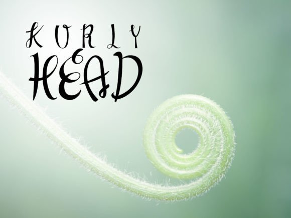 Kurlyhead: A Playful Handwritten Font for Small Business Branding