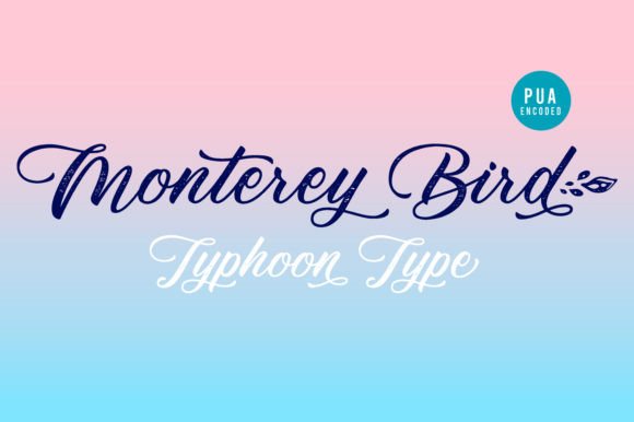 Monterey Bird: A Sweet Script Font for Digital Branding