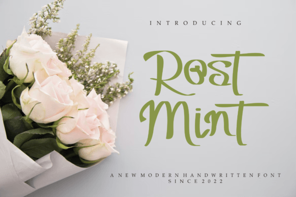 Rostmint: A Designer’s Real-World Script Amp Review