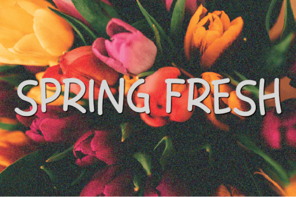 Spring Fresh Font: Friendly Handwritten Style for Real Business Branding